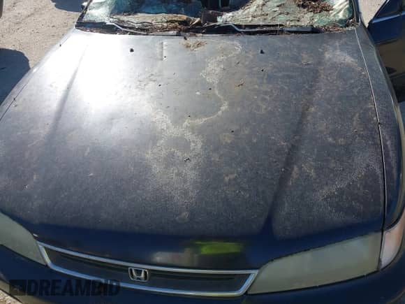 1997 Honda Accord LX with VIN 1HGCD5635VA220267, listed as a IAAI auction lot 43246438 with 260,776 mi miles and . Bid and sale history available at DreamBid. Image 10.