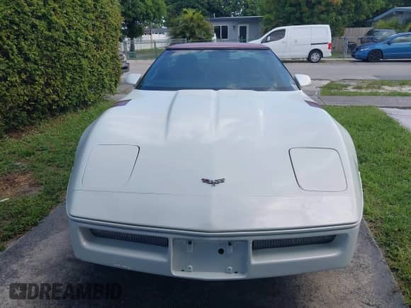1985 Chevrolet Corvette с VIN 1G1YY0787F5124214, выставлен на аукционе IAAI как лот 42810797 с пробегом 79 567 миль миль и . История ставок и продаж доступна на DreamBid. Изображение 14.