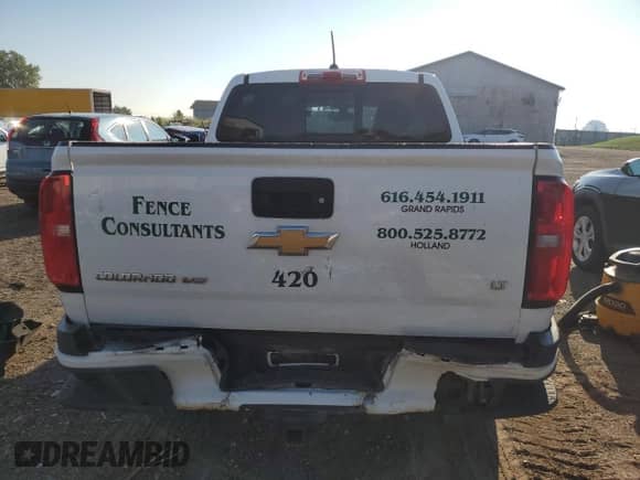 2018 Chevrolet Colorado 4WD LT with VIN 1GCGTCEN0J1182418, listed as a Copart auction lot 80310485 with 289,371 mi miles and Salvage title. Bid and sale history available at DreamBid. Image 6.