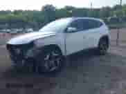 2024 Hyundai Tucson Limited with VIN KM8JECD19RU151169, listed as a IAAI auction lot 43020255 with 16,645 mi miles and . Bid and sale history available at DreamBid. Image 2.