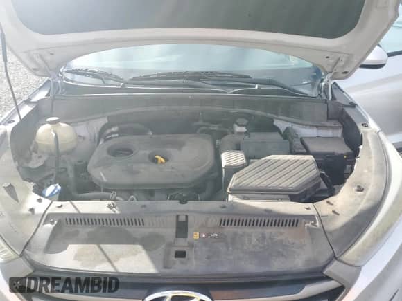 2016 Hyundai Tucson SE with VIN KM8J33A42GU130875, listed as a Copart auction lot 87074675 with 125,283 mi miles and Clean title. Bid and sale history available at DreamBid. Image 12.