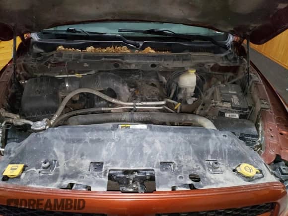 2013 Ram 1500 Tradesman с VIN 1C6RR7KT2DS578115, выставлен на аукционе Copart как лот 87147314 с пробегом 144 533 миль миль и Чистый • Clean title. История ставок и продаж доступна на DreamBid. Изображение 11.