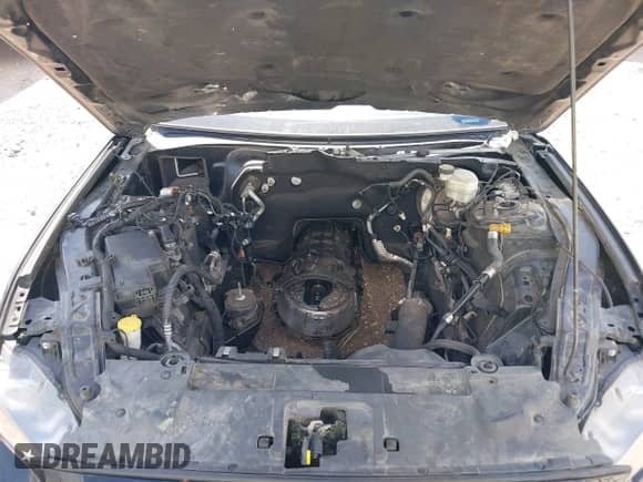 2019 Ford Mustang EcoBoost with VIN 1FA6P8TH4K5103536, listed as a IAAI auction lot 43379181 with Not provided miles and . Bid and sale history available at DreamBid. Image 10.