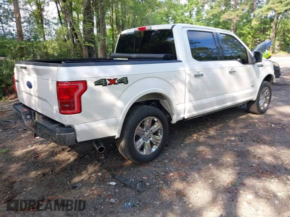 2017 Ford F-150 XLT with VIN 1FTEW1EG6HFC82671, listed as a IAAI auction lot 42729611 with 110,133 mi miles and . Bid and sale history available at DreamBid. Image 4.