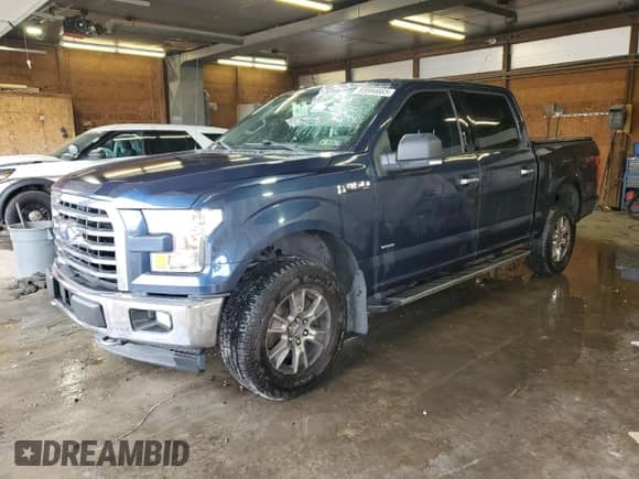 2017 Ford F-150 XL z VIN 1FTEW1EP2HFC49067, wystawiony jako Copart lot #83994665 z przebiegiem 173 435 mil mil oraz Szkoda całkowita • Salvage title. Historia ofert i sprzedaży dostępna na DreamBid. Obrazek 1.