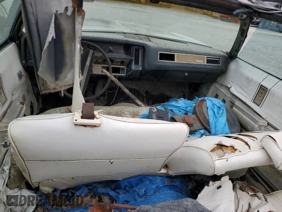 1975 Chevrolet Caprice с VIN 1N67H5Y196275, выставлен на аукционе Copart как лот 43452985 с пробегом 28 996 миль миль и Чистый • Clean title. История ставок и продаж доступна на DreamBid. Изображение 8.