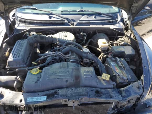2000 Dodge Dakota with VIN 1B7FL26X8YS776443, listed as a Copart auction lot 49224305 with 191,703 mi miles and Salvage title. Bid and sale history available at DreamBid. Image 11.