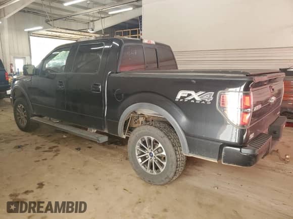 2012 Ford F-150 FX4 with VIN 1FTFW1EF0CKE23715, listed as a Copart auction lot 84620925 with 166,561 mi miles and Salvage title. Bid and sale history available at DreamBid. Image 2.