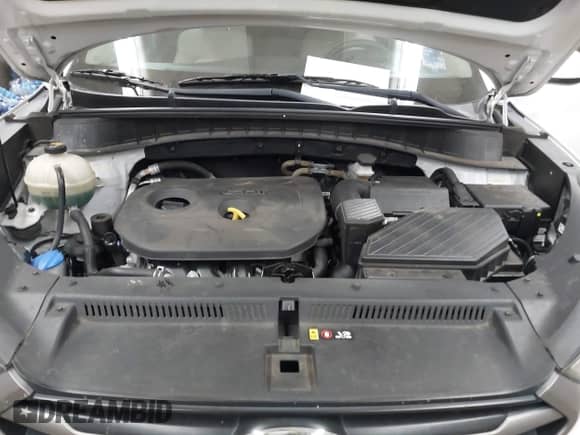 2016 Hyundai Tucson SE с VIN KM8J3CA43GU134353, выставлен на аукционе IAAI как лот 43491437 с пробегом 93 656 миль миль и . История ставок и продаж доступна на DreamBid. Изображение 10.