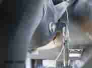 2021 Chevrolet Silverado 1500 Work Truck with VIN 1GCRYAEF3MZ101442, listed as a IAAI auction lot 43322682 with 201,128 mi miles and . Bid and sale history available at DreamBid. Image 11.