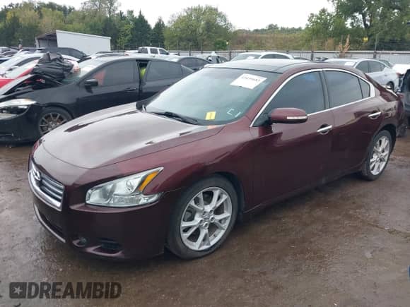 2014 Nissan Maxima SV with VIN 1N4AA5AP8EC906774, listed as a IAAI auction lot 43439683 with 126,202 mi miles and . Bid and sale history available at DreamBid. Image 2.