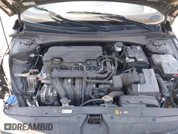 2023 Hyundai Elantra Limited with VIN KMHLP4AG1PU525126, listed as a IAAI auction lot 42981498 with 29,733 mi miles and . Bid and sale history available at DreamBid. Image 10.