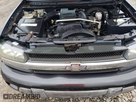 2004 Chevrolet TrailBlazer EXT LS with VIN 1GNET16S646207689, listed as a Copart auction lot 66167165 with 267,090 mi miles and Clean title. Bid and sale history available at DreamBid. Image 11.