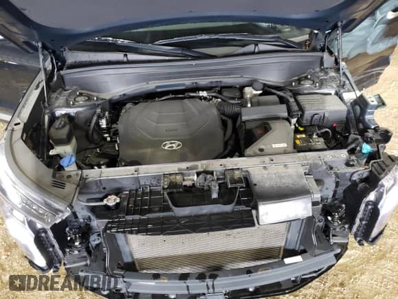 2021 Hyundai Palisade Limited z VIN KM8R54HE6MU199338, wystawiony jako Copart lot #41269464 z przebiegiem 39 790 mil mil oraz . Historia ofert i sprzedaży dostępna na DreamBid. Obrazek 12.