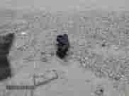 2022 Toyota Tacoma TRD Off Road with VIN 3TYCZ5AN4NT099666, listed as a Copart auction lot 85094295 with 45,880 mi miles and Salvage title. Bid and sale history available at DreamBid. Image 12.