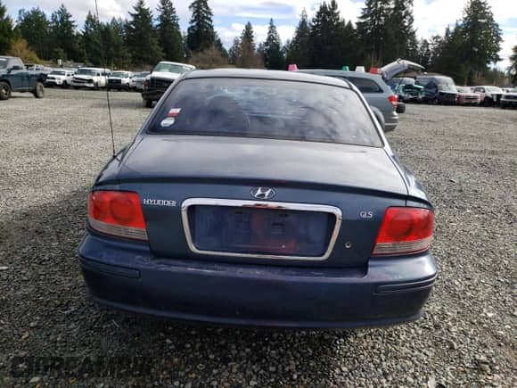 2002 Hyundai Sonata with VIN KMHWF25S12A520554, listed as a Copart auction lot 43483194 with 131,409 mi miles and Salvage title. Bid and sale history available at DreamBid. Image 6.
