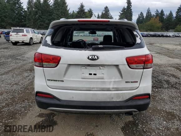 2017 Kia Sorento EX with VIN 5XYPH4A12HG295663, listed as a Copart auction lot 84438215 with 121,658 mi miles and Clean title. Bid and sale history available at DreamBid. Image 6.