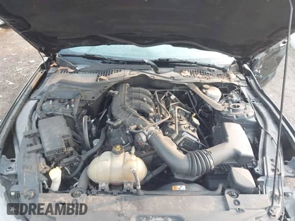 2017 Ford Mustang V6 z VIN 1FATP8EM5H5285088, wystawiony jako IAAI lot #43135719 z przebiegiem 76 248 mil mil oraz . Historia ofert i sprzedaży dostępna na DreamBid. Obrazek 10.