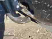 2014 Chevrolet Silverado 1500 High Country z VIN 3GCUKTEJ3EG291028, wystawiony jako IAAI lot #43475348 z przebiegiem 154 289 mil mil oraz . Historia ofert i sprzedaży dostępna na DreamBid. Obrazek 6.