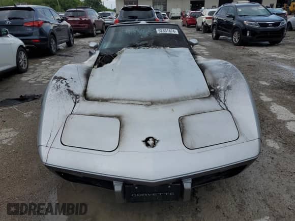 1978 Chevrolet Corvette with VIN 1Z87L8S404838, listed as a Copart auction lot 62831874 with Not provided miles and Clean title. Bid and sale history available at DreamBid. Image 5.