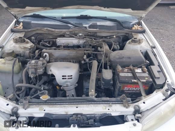 1998 Toyota Camry LE z VIN 4T1BG22K3WU216162, wystawiony jako IAAI lot #43118175 z przebiegiem 188 229 mil mil oraz . Historia ofert i sprzedaży dostępna na DreamBid. Obrazek 10.