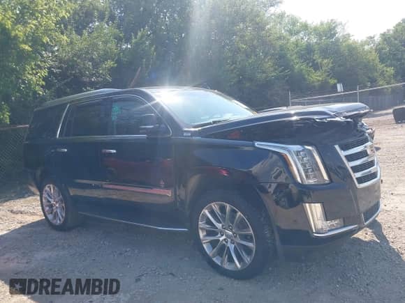 2017 Cadillac Escalade Luxury with VIN 1GYS4BKJ2HR376991, listed as a IAAI auction lot 42947489 with 165,720 mi miles and . Bid and sale history available at DreamBid. Image 13.