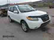 2007 Hyundai Santa Fe SE с VIN 5NMSH13E07H010844, выставлен на аукционе IAAI как лот 43467190 с пробегом 141 000 миль миль и . История ставок и продаж доступна на DreamBid. Изображение 1.