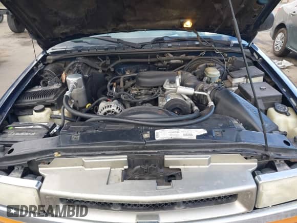 1999 Chevrolet Blazer LS z VIN 1GNDT13W0X2223207, wystawiony jako IAAI lot #41352241 z przebiegiem 239 263 mil mil oraz . Historia ofert i sprzedaży dostępna na DreamBid. Obrazek 10.