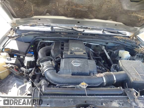 2014 Nissan Frontier S with VIN 1N6AD0EV1EN716684, listed as a IAAI auction lot 41861705 with Not provided miles and . Bid and sale history available at DreamBid. Image 10.