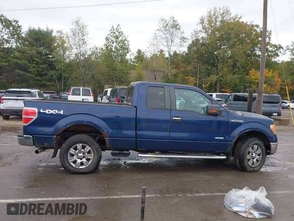 2011 Ford F-150 XL with VIN 1FTFX1ET8BFC16970, listed as a IAAI auction lot 43373804 with 119,060 mi miles and . Bid and sale history available at DreamBid. Image 13.