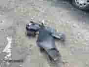 2011 Ram 1500 SLT с VIN 1D7RV1GT2BS679197, выставлен на аукционе IAAI как лот 43059227 с пробегом 179 266 миль миль и . История ставок и продаж доступна на DreamBid. Изображение 11.