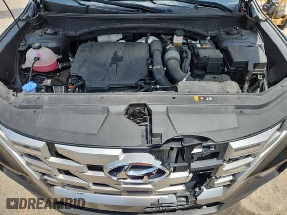 2023 Hyundai Santa Cruz SEL Premium с VIN 5NTJDDAF5PH044013, выставлен на аукционе Copart как лот 63215095 с пробегом 31 932 миль миль и Списание • Salvage title. История ставок и продаж доступна на DreamBid. Изображение 11.