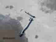 2013 Chevrolet Cruze LS с VIN 1G1PB5SH5D7102568, выставлен на аукционе IAAI как лот 41630178 с пробегом 167 318 миль миль и . История ставок и продаж доступна на DreamBid. Изображение 12.