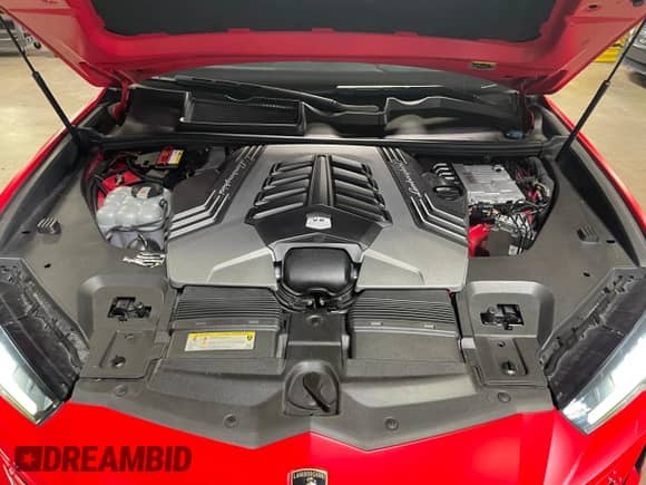 2019 Lamborghini Urus с VIN ZPBUA1ZL8KLA04356, выставлен на аукционе Copart как лот 80452844 с пробегом 12 936 миль миль и Чистый • Clean title. История ставок и продаж доступна на DreamBid. Изображение 7.