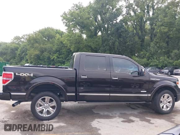 2014 Ford F-150 XL with VIN 1FTFW1ET9EFA75351, listed as a IAAI auction lot 42947801 with 203,939 mi miles and . Bid and sale history available at DreamBid. Image 12.