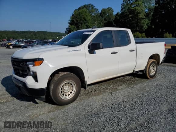 2024 Chevrolet Silverado 1500 Work Truck with VIN 1GCRAAEK6RZ192179, listed as a Copart auction lot 67468335 with 42,555 mi miles and Salvage title. Bid and sale history available at DreamBid. Image 1.
