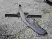 2020 Ram 1500 Big Horn z VIN 1C6RREFG7LN333518, wystawiony jako Copart lot #72204024 z przebiegiem 121 193 mil mil oraz Szkoda całkowita • Salvage title. Historia ofert i sprzedaży dostępna na DreamBid. Obrazek 13.