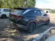 2024 Hyundai Tucson with VIN KM8JDDD29RU145695, listed as a Copart auction lot 67092165 with Not provided miles and Salvage title. Bid and sale history available at DreamBid. Image 3.