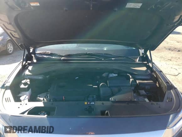 2020 Hyundai Santa Fe SE with VIN 5NMS2CAD3LH300481, listed as a Copart auction lot 66738032 with 18,956 mi miles and . Bid and sale history available at DreamBid. Image 7.