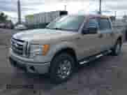 2009 Ford F-150 XL with VIN 1FTPW14V09FA94450, listed as a IAAI auction lot 43456054 with 128,990 mi miles and . Bid and sale history available at DreamBid. Image 17.