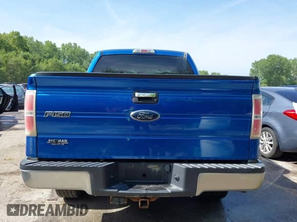 2009 Ford F-150 XL with VIN 1FTRW14819FB47952, listed as a IAAI auction lot 42856483 with 277,088 mi miles and . Bid and sale history available at DreamBid. Image 17.