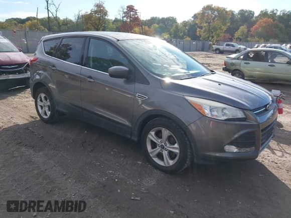 2014 Ford Escape SE z VIN 1FMCU0GX7EUB37811, wystawiony jako IAAI lot #43461605 z przebiegiem 120 167 mil mil oraz . Historia ofert i sprzedaży dostępna na DreamBid. Obrazek 1.