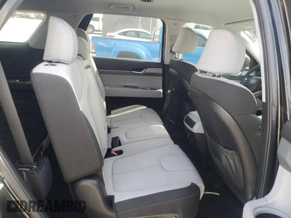 2022 Hyundai Palisade SE z VIN KM8R1DHE0NU369951, wystawiony jako Copart lot #53330035 z przebiegiem 56 893 mil mil oraz Szkoda całkowita • Salvage title. Historia ofert i sprzedaży dostępna na DreamBid. Obrazek 10.