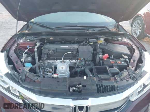 2017 Honda Accord EX-L with VIN 1HGCR2F83HA238198, listed as a IAAI auction lot 43583077 with Not provided miles and . Bid and sale history available at DreamBid. Image 6.