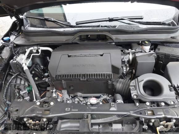 2025 Honda Pilot TrailSport with VIN 5FNYG1H66SB082138, listed as a IAAI auction lot 42352183 with 3,270 mi miles and . Bid and sale history available at DreamBid. Image 10.