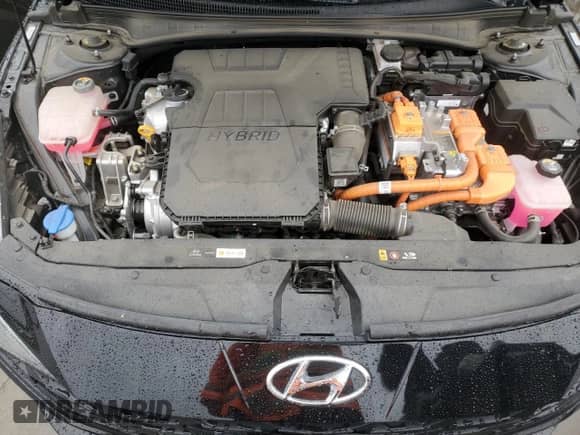 2023 Hyundai Elantra Blue with VIN KMHLM4AJ1PU079287, listed as a Copart auction lot 81970805 with 79,915 mi miles and Salvage title. Bid and sale history available at DreamBid. Image 11.