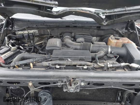 2009 Ford F-150 XL с VIN 1FTPW12V39FA49943, выставлен на аукционе IAAI как лот 43330263 с пробегом 332 635 миль миль и . История ставок и продаж доступна на DreamBid. Изображение 10.