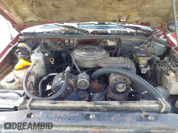 1995 Chevrolet S-10 LS с VIN 1GCCS19Z8S8231179, выставлен на аукционе IAAI как лот 42264019 с пробегом 191 519 миль миль и . История ставок и продаж доступна на DreamBid. Изображение 10.