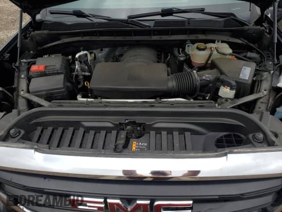 2019 GMC Sierra 1500 with VIN 1GTR9AEF6KZ334886, listed as a Copart auction lot 69188565 with 168,726 mi miles and Salvage title. Bid and sale history available at DreamBid. Image 11.