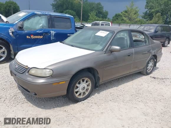 1999 Chevrolet Malibu LS с VIN 1G1NE52M0X6239679, выставлен на аукционе IAAI как лот 42836633 с пробегом 118 454 миль миль и . История ставок и продаж доступна на DreamBid. Изображение 2.